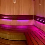 H15 Ap6 Mit Beheiztem Innenpool Und Sauna Appartement Sasbachwalden